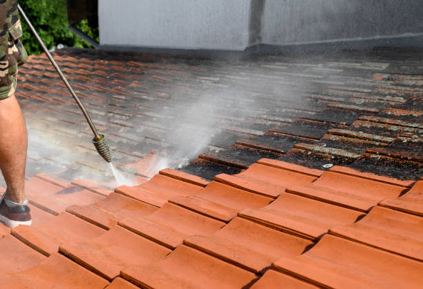 Best Pressure Washing Driveway  in Olive Hill, KY