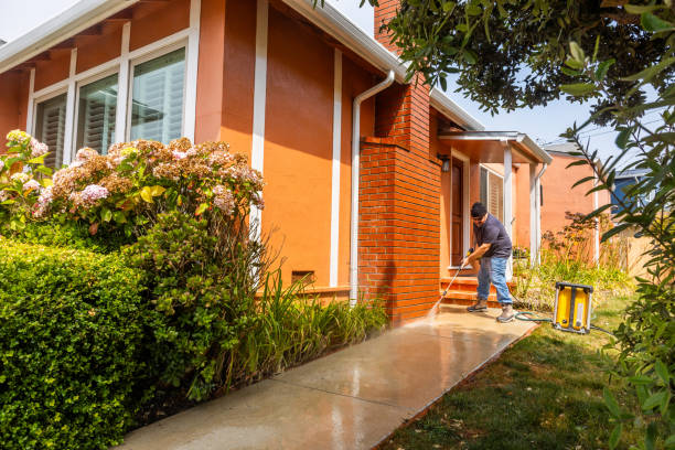 Best Best Pressure Washing Companies  in Olive Hill, KY