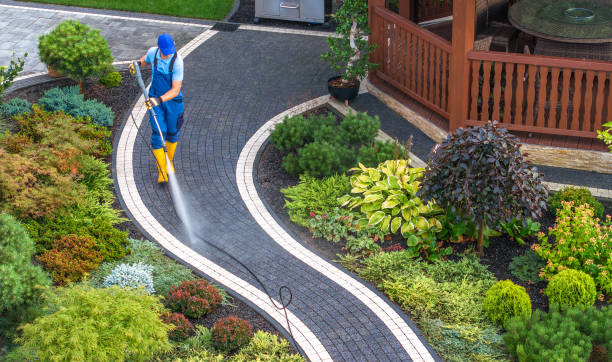 Best Power Washing Near Me  in Olive Hill, KY